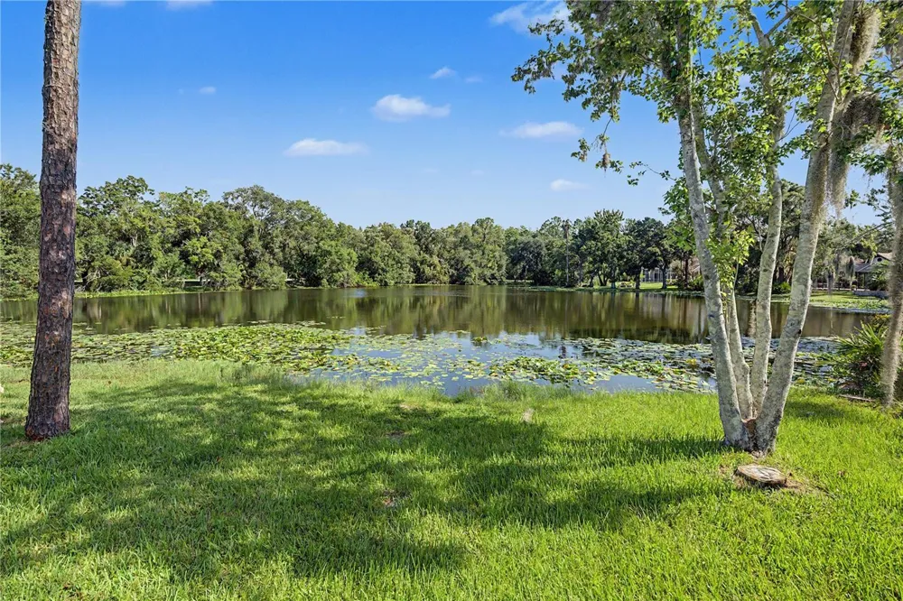 35 GREENHAVEN TRAIL Oldsmar, FL 34677