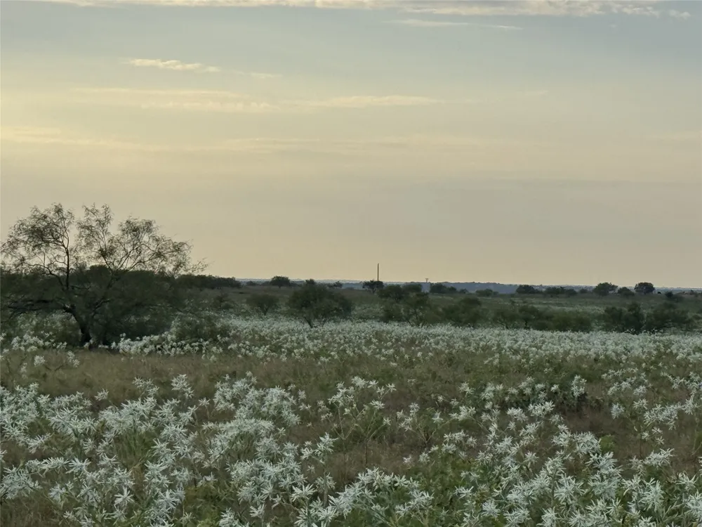 237 Private Road 4512 Decatur, TX 76234