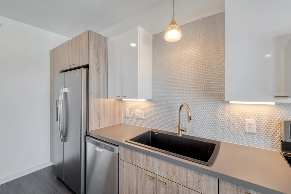 4361 S Congress Road #527 Austin, TX 78745