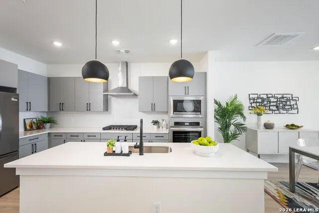 719 E Locust #4102 San Antonio, TX 78212