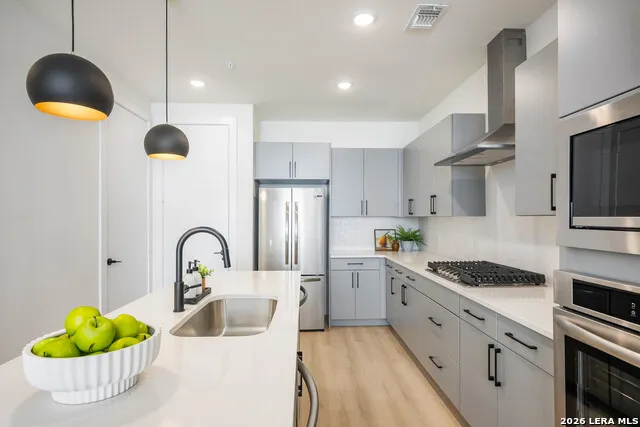 719 E Locust #4102 San Antonio, TX 78212