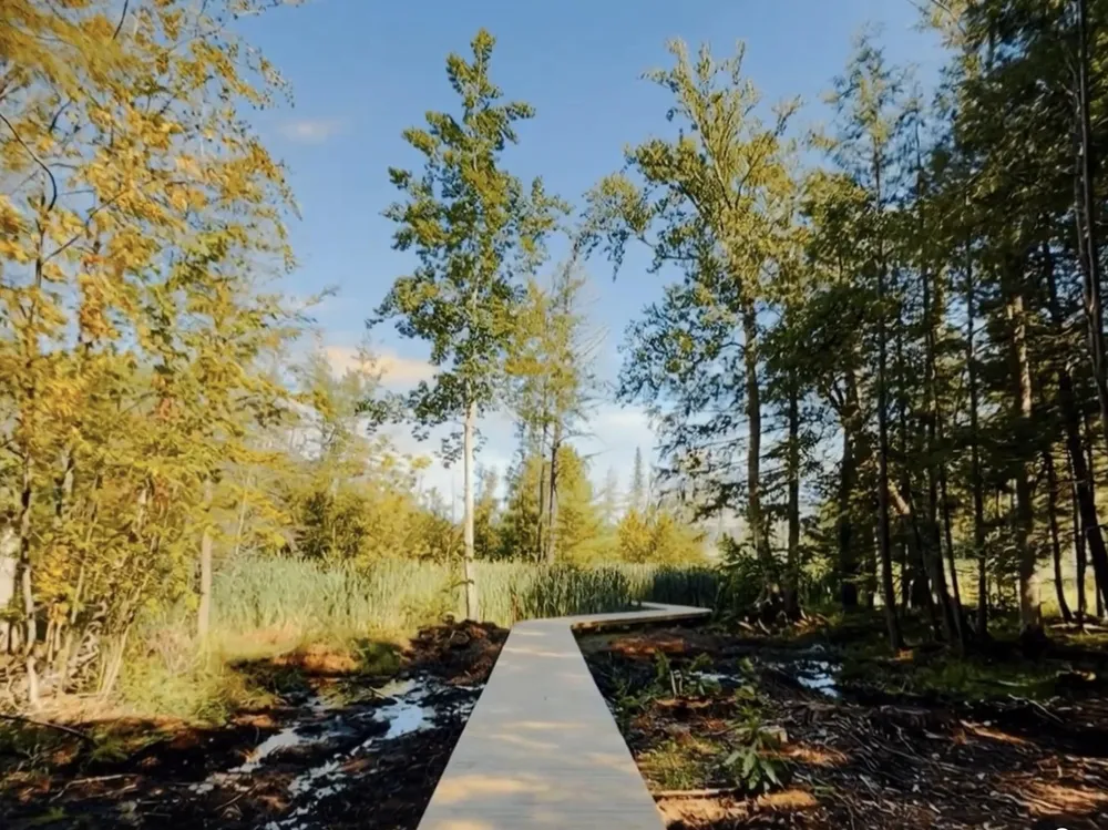 2370 US-31 N Torch Lake Township, MI 49648