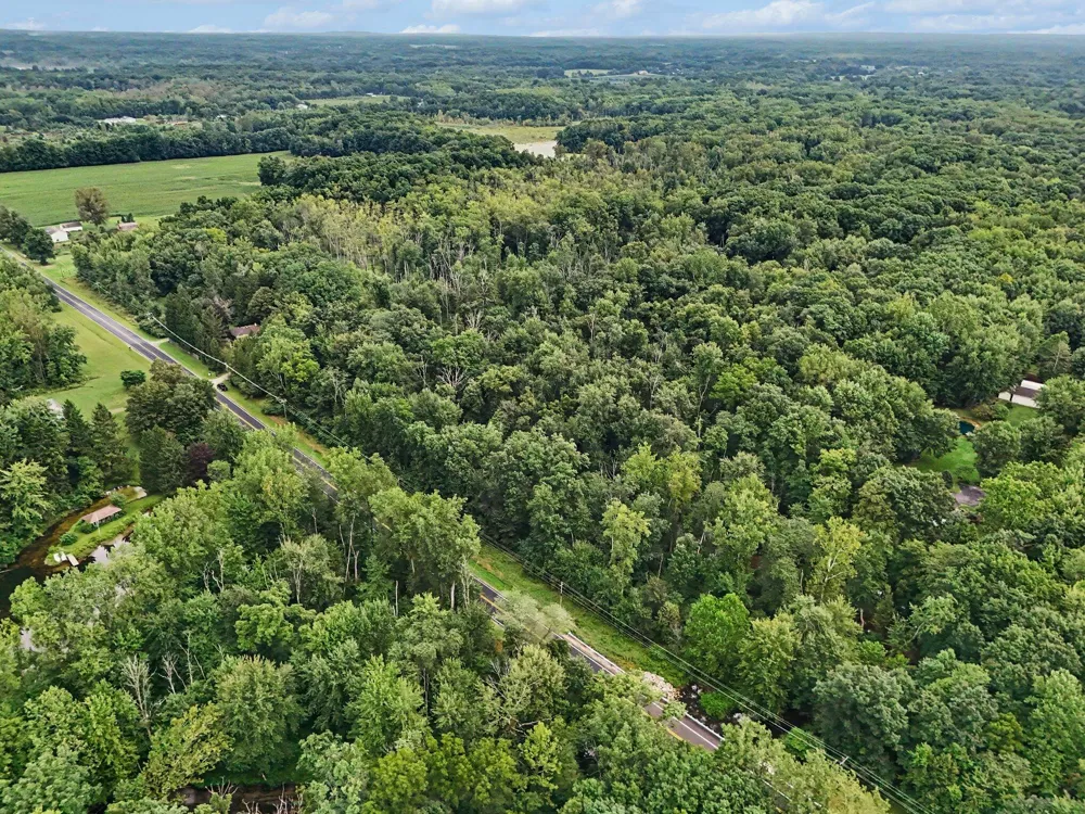 41341 County Road 665 Waverly Township, MI 49079