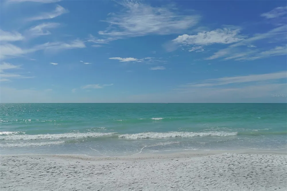 1100 BENJAMIN FRANKLIN DRIVE #204 Sarasota, FL 34236
