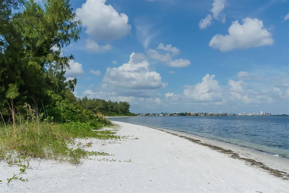 1100 BENJAMIN FRANKLIN DRIVE #204 Sarasota, FL 34236