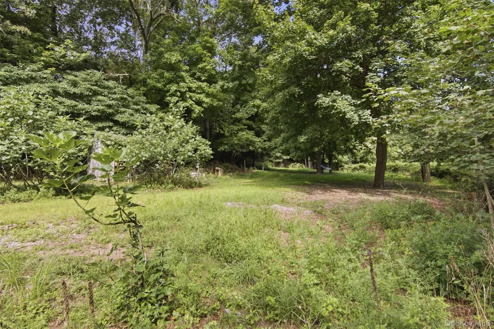 69 Ridgeway Avenue East Setauket, NY 11733