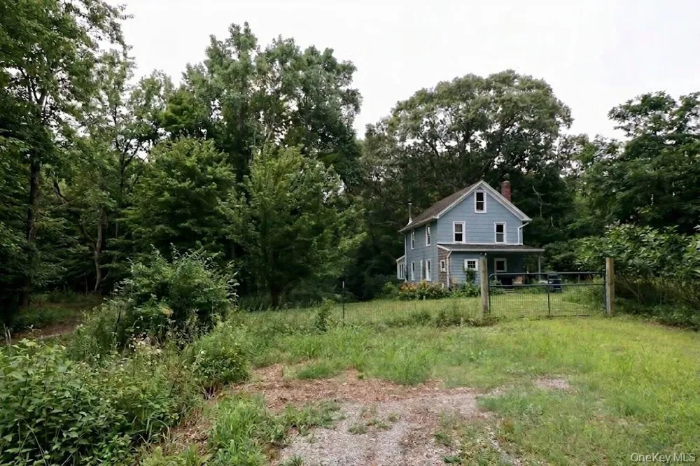69 Ridgeway Avenue East Setauket, NY 11733