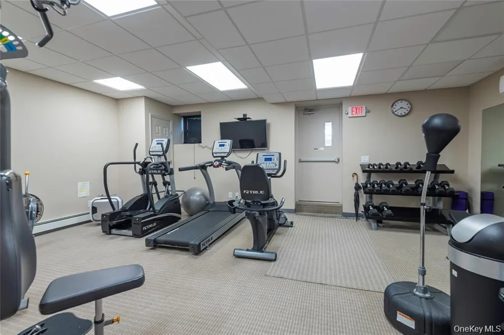 25 Chapel Place #2M Great Neck, NY 11021