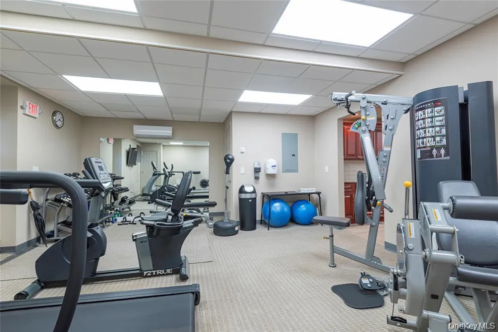 25 Chapel Place #2M Great Neck, NY 11021