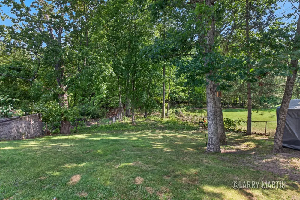 16510 Bass Lake Avenue NE Gowen, MI 49326