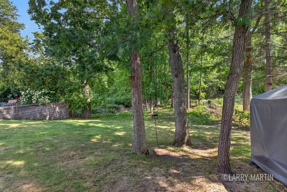 16510 Bass Lake Avenue NE Gowen, MI 49326