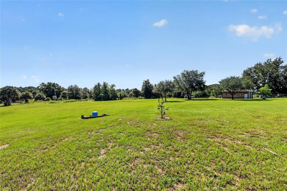 32542 SCENIC HILLS DRIVE Mount Dora, FL 32757
