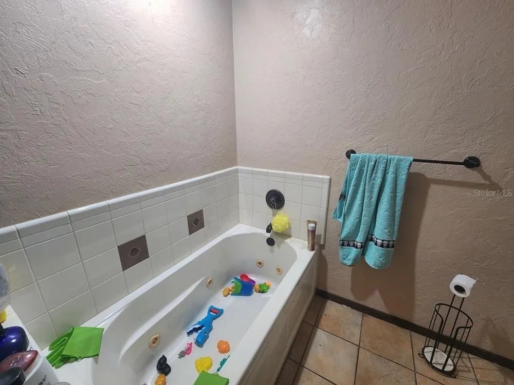 2407 SUMMER HOLLOW DRIVE Auburndale, FL 33823