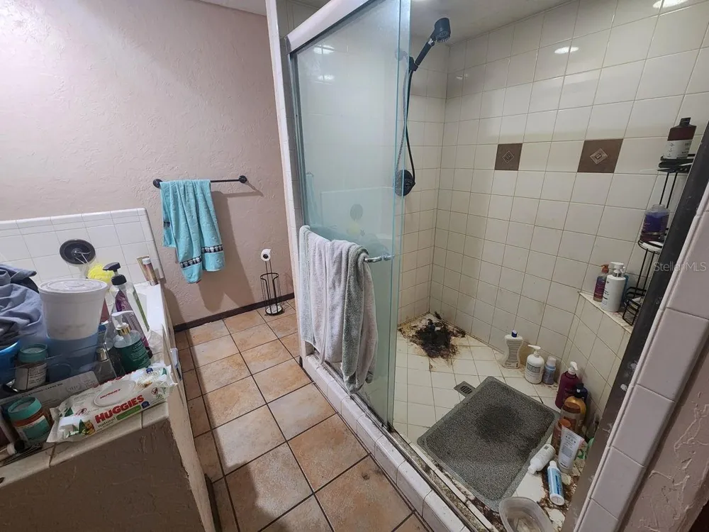 2407 SUMMER HOLLOW DRIVE Auburndale, FL 33823