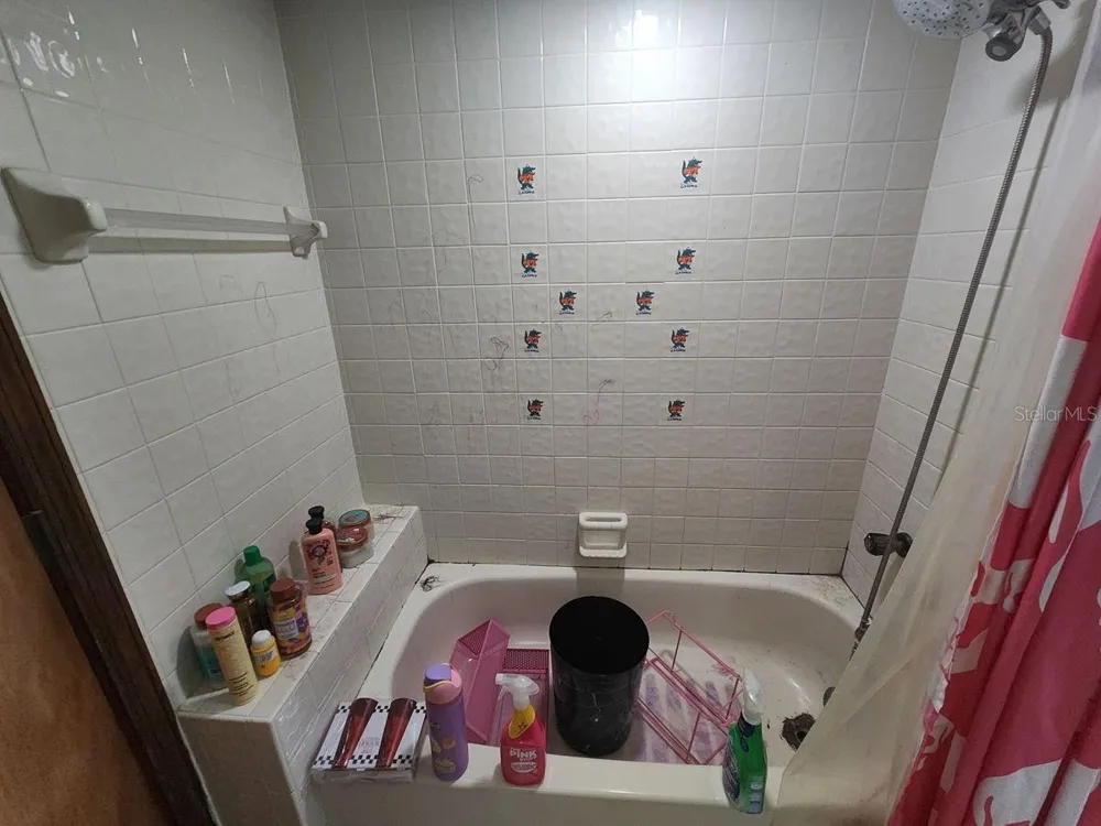 2407 SUMMER HOLLOW DRIVE Auburndale, FL 33823