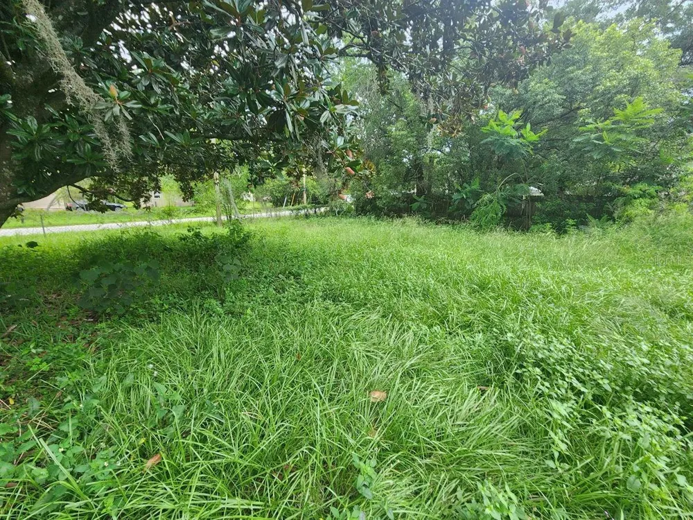 2407 SUMMER HOLLOW DRIVE Auburndale, FL 33823