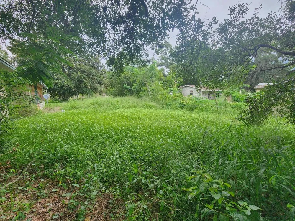 2407 SUMMER HOLLOW DRIVE Auburndale, FL 33823
