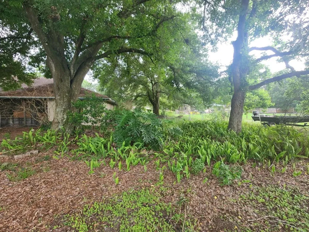 2407 SUMMER HOLLOW DRIVE Auburndale, FL 33823