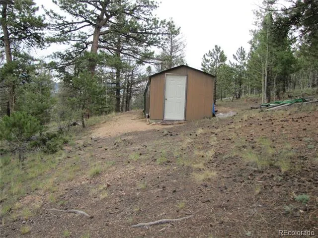 657 Pine Lane Hartsel, CO 80449