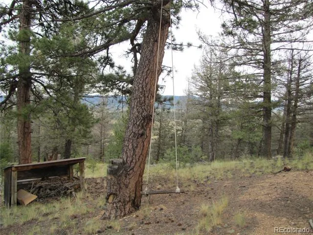 657 Pine Lane Hartsel, CO 80449