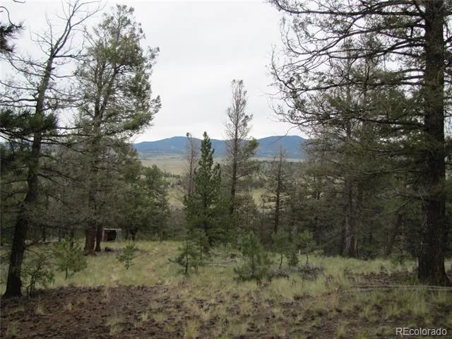 657 Pine Lane Hartsel, CO 80449