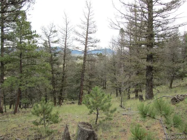 657 Pine Lane Hartsel, CO 80449