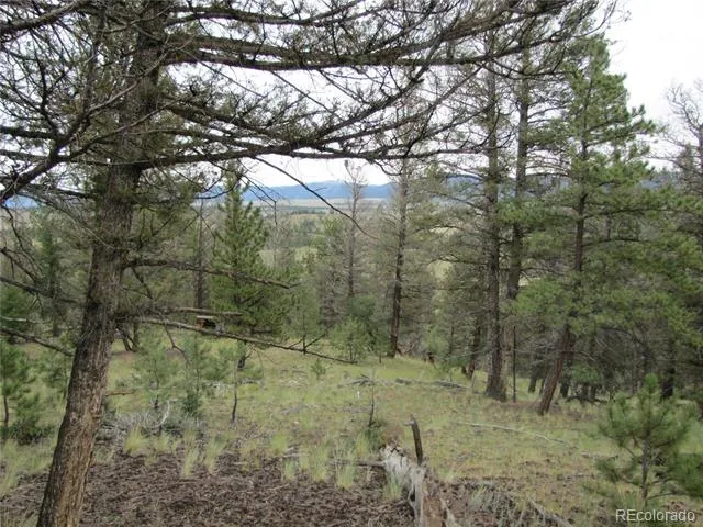 657 Pine Lane Hartsel, CO 80449
