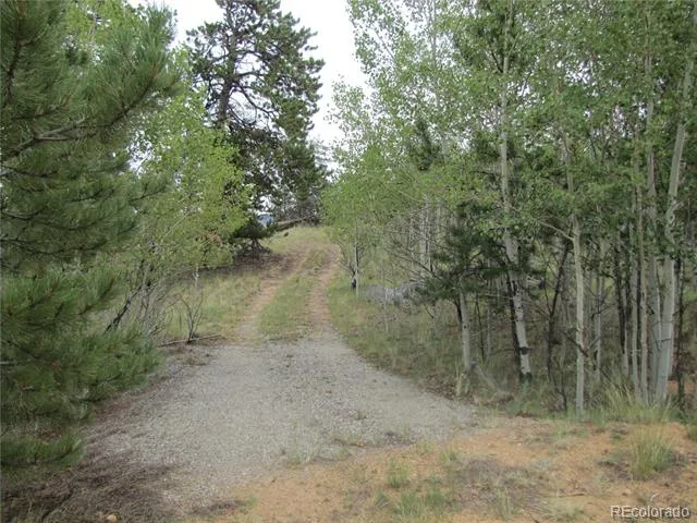 657 Pine Lane Hartsel, CO 80449