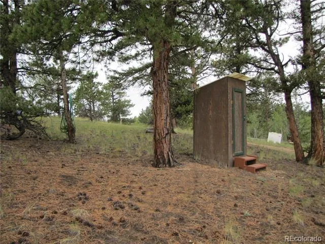 657 Pine Lane Hartsel, CO 80449