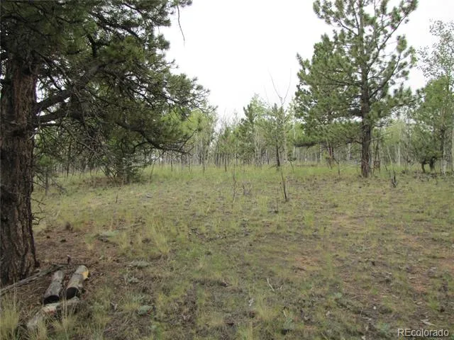 657 Pine Lane Hartsel, CO 80449