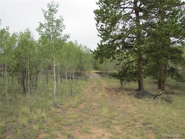 657 Pine Lane Hartsel, CO 80449