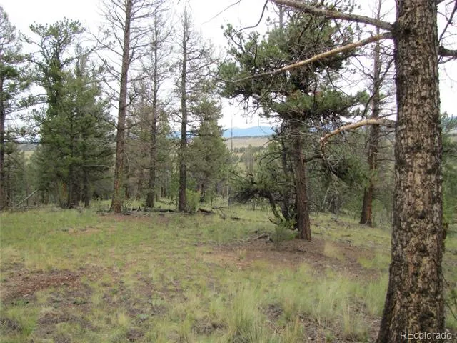 657 Pine Lane Hartsel, CO 80449