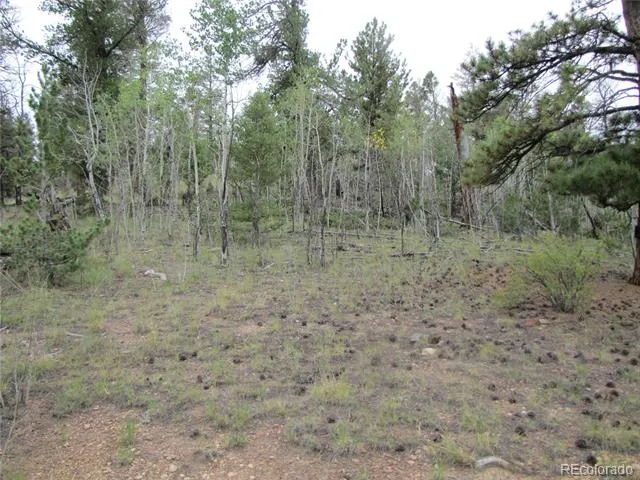 657 Pine Lane Hartsel, CO 80449