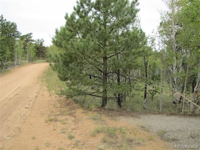 657 Pine Lane Hartsel, CO 80449