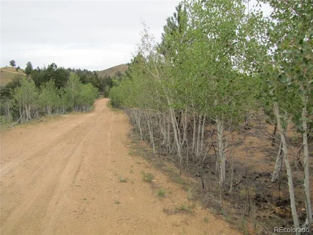 657 Pine Lane Hartsel, CO 80449