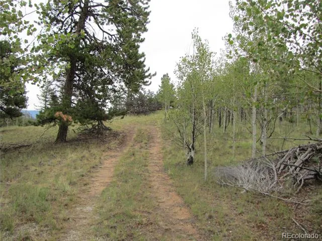 657 Pine Lane Hartsel, CO 80449