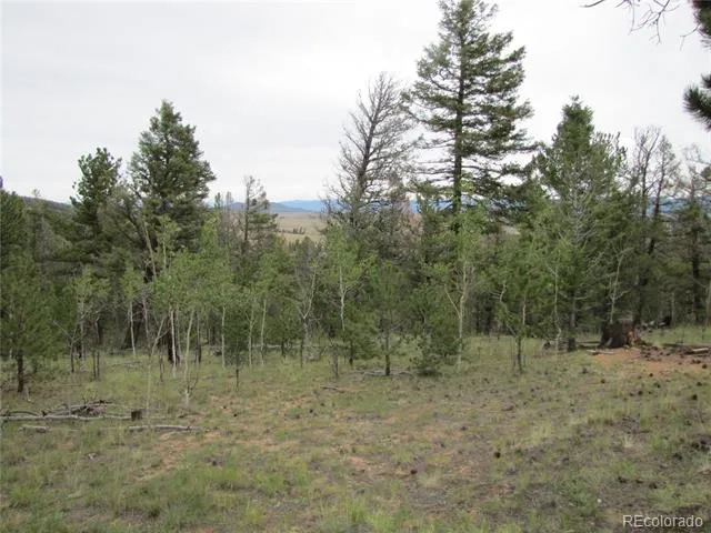 657 Pine Lane Hartsel, CO 80449