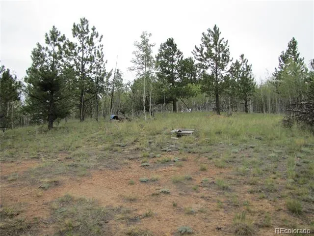 657 Pine Lane Hartsel, CO 80449