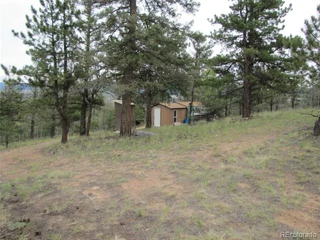 657 Pine Lane Hartsel, CO 80449
