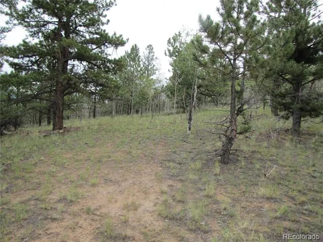 657 Pine Lane Hartsel, CO 80449