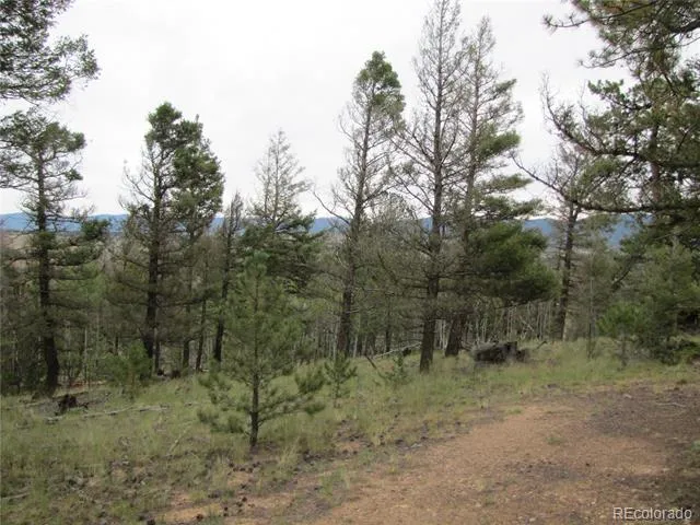 657 Pine Lane Hartsel, CO 80449