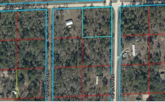 00 NE 124TH TERRACE Williston, FL 32696