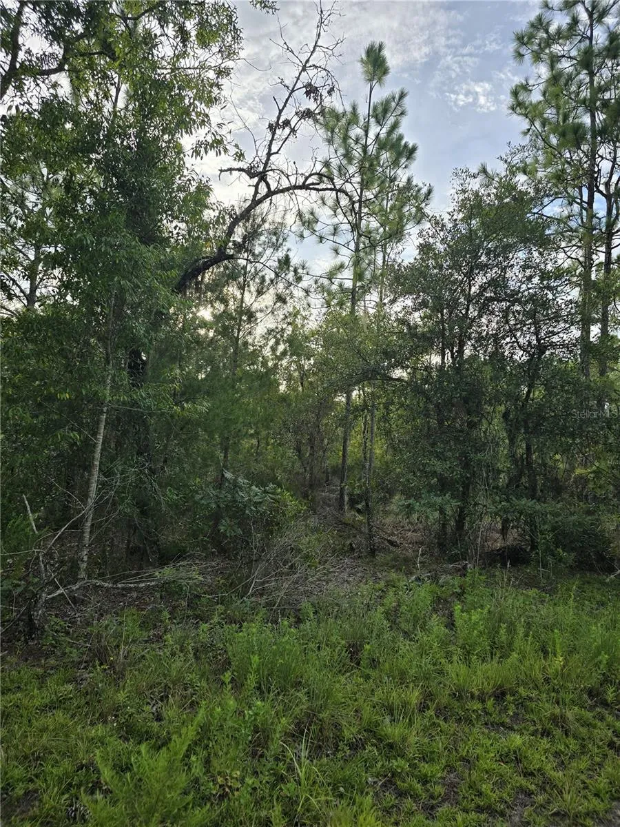 00 NE 124TH TERRACE Williston, FL 32696