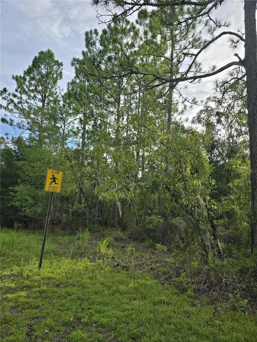 00 NE 124TH TERRACE Williston, FL 32696