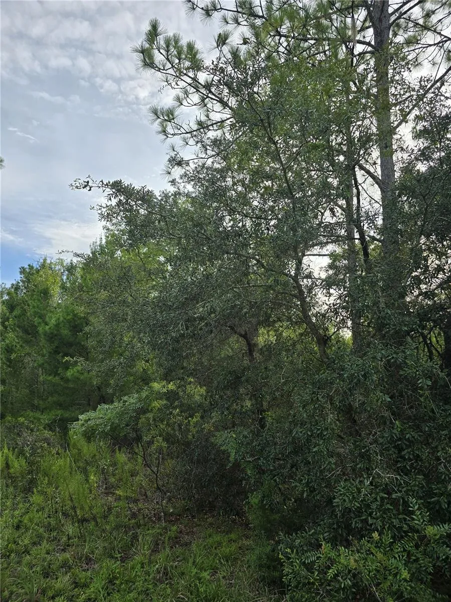 00 NE 124TH TERRACE Williston, FL 32696