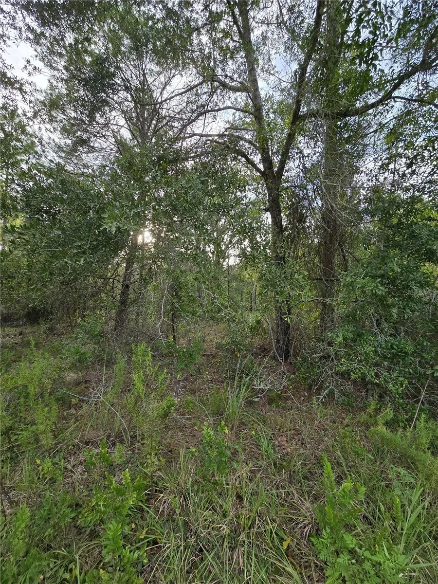 00 NE 124TH TERRACE Williston, FL 32696