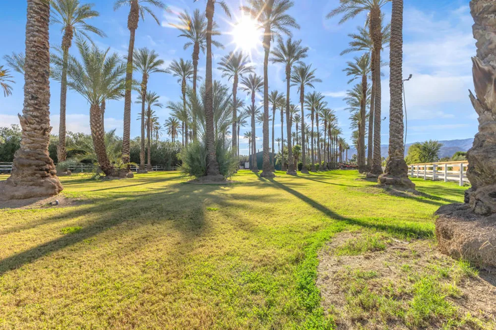 58200 Almonte Drive La Quinta, CA 92253