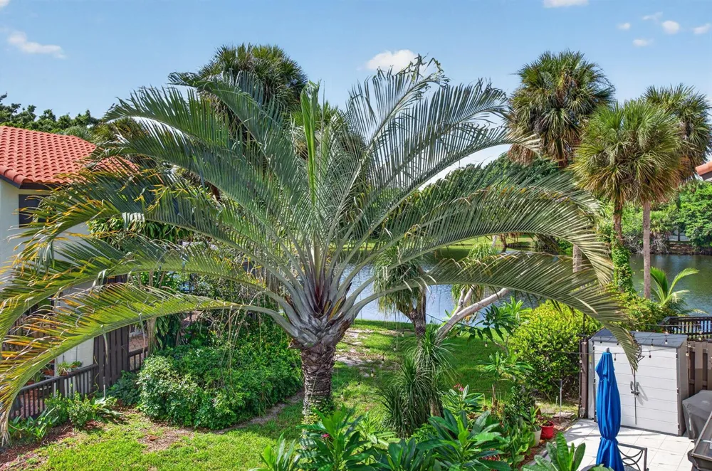 5726 FOX HOLLOW DRIVE #G Boca Raton, FL 33486
