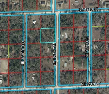 00 NE 124TH TERRACE Williston, FL 32696