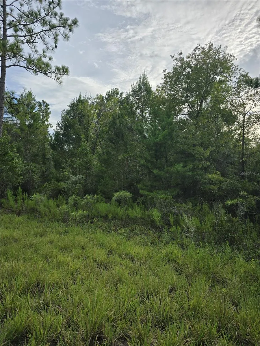 00 NE 124TH TERRACE Williston, FL 32696